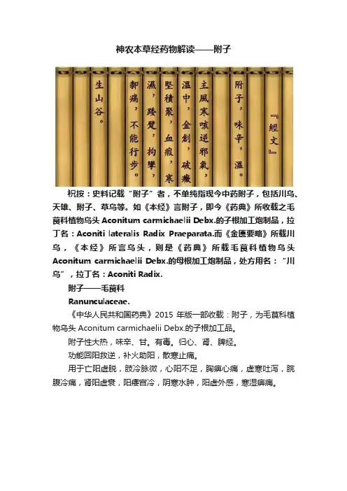 神农本草经药物解读——附子