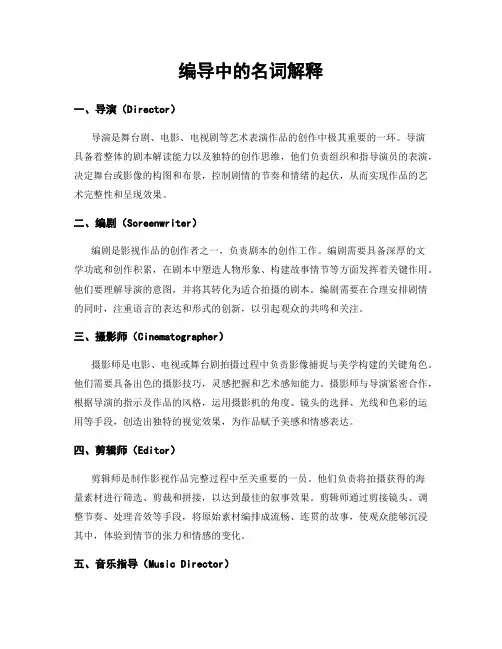 编导中的名词解释