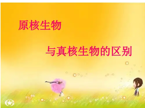 原核与真核生物的区别