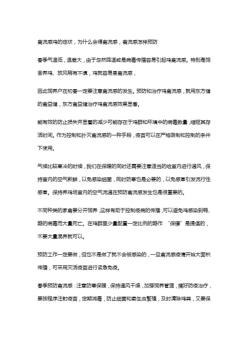 禽流感鸡的症状,为什么会得禽流感,禽流感怎样预防