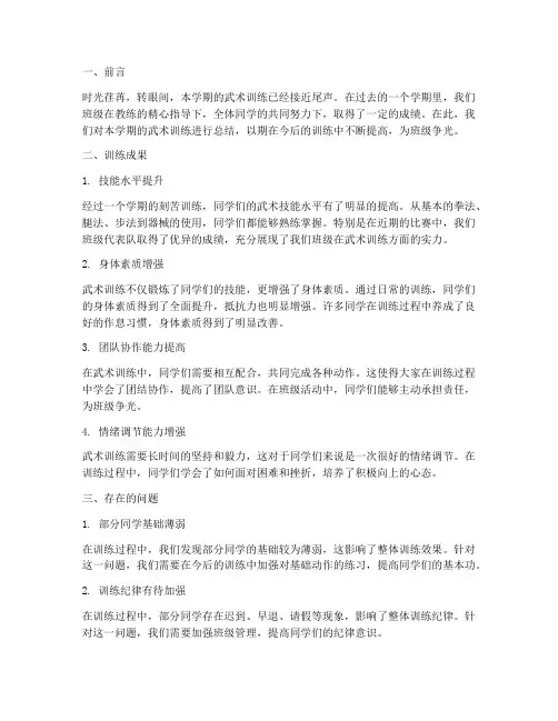 武术班级训练总结范文