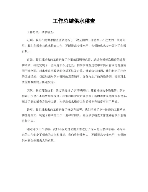 工作总结供水稽查