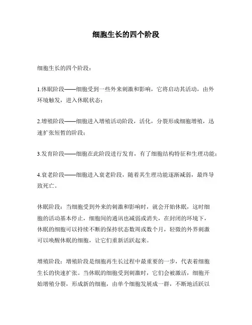 细胞生长的四个阶段