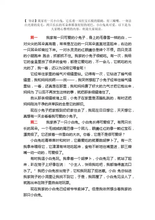 我家的小兔子日记400字3篇