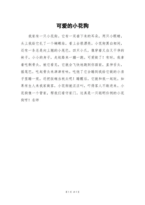 可爱的小花狗_五年级作文