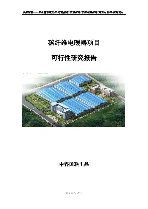 碳纤维电暖器项目可行性研究报告计划书