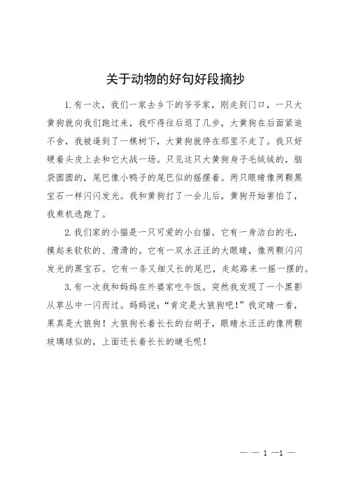 关于动物的好句好段摘抄