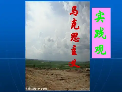 马克思主义实践观