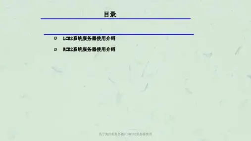 西子奥的斯服务器LCBRCB2服务器使用课件