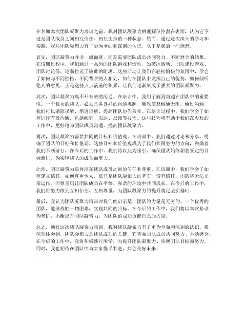 培训团队凝聚力的感想