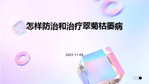 怎样防治和治疗翠菊枯萎病