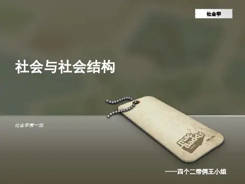 《社会与社会结构》PPT课件