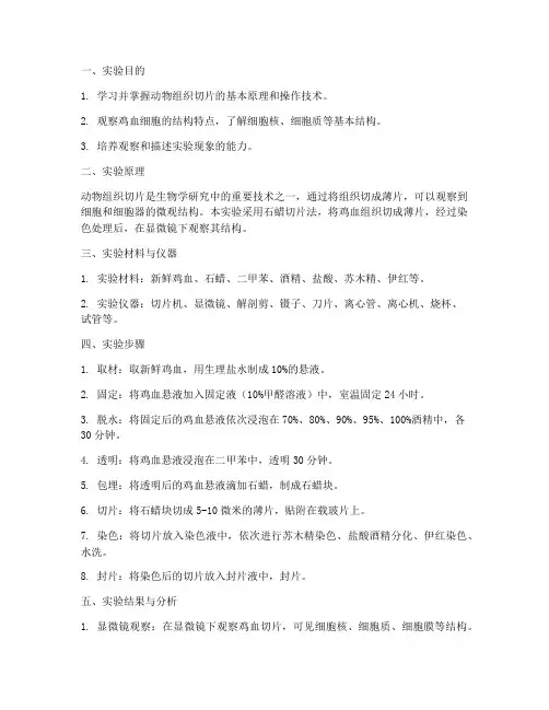 观察鸡血切片实训报告范文