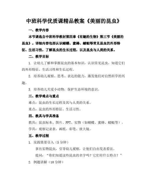 中班科学优质课精品教案《美丽的昆虫》