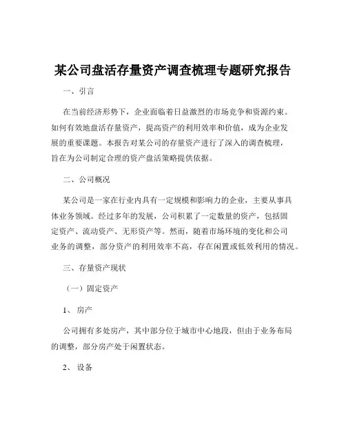 某公司盘活存量资产调查梳理专题研究报告