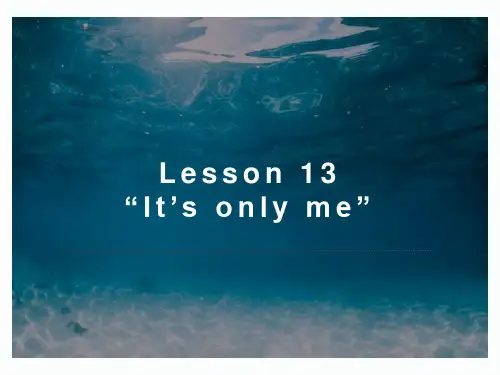 新概念英语第三册PPT课件：NCE3_lesson13(共64页)