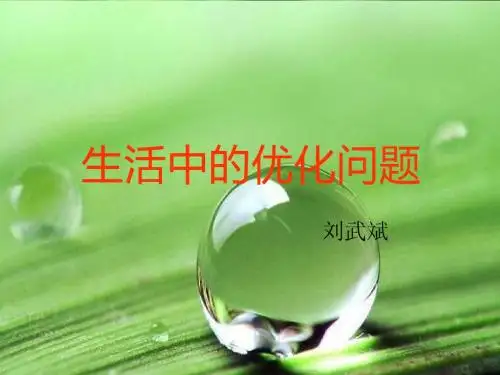 生活中的优化问题