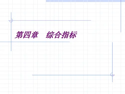 第四章 综合指标