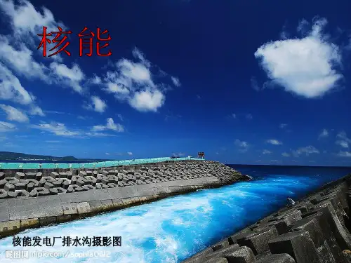 核能的开发和利用(以秦山核电站为例)
