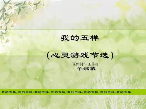 9 我的五样 心灵游戏