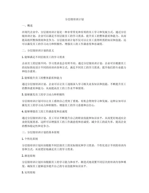 分层级培训计划