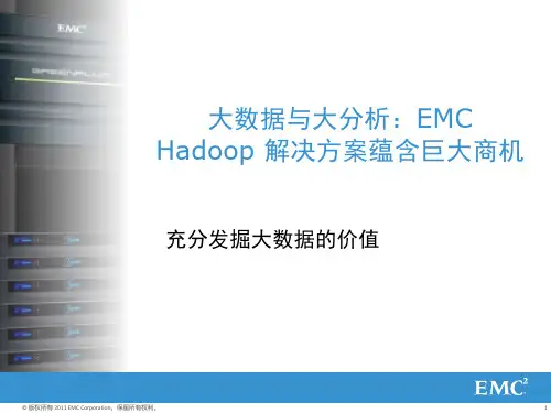 大数据和大分析—EMCHadoop解决方案蕴含巨大商机-043027
