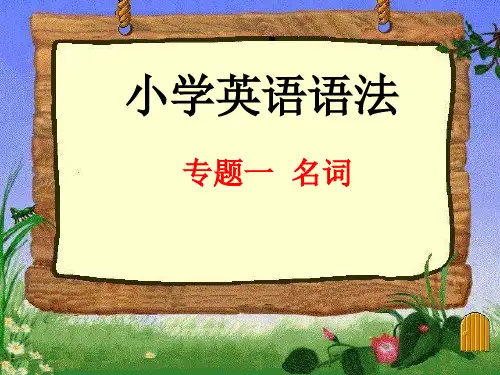 小升初英语语法专题一名词ppt课件
