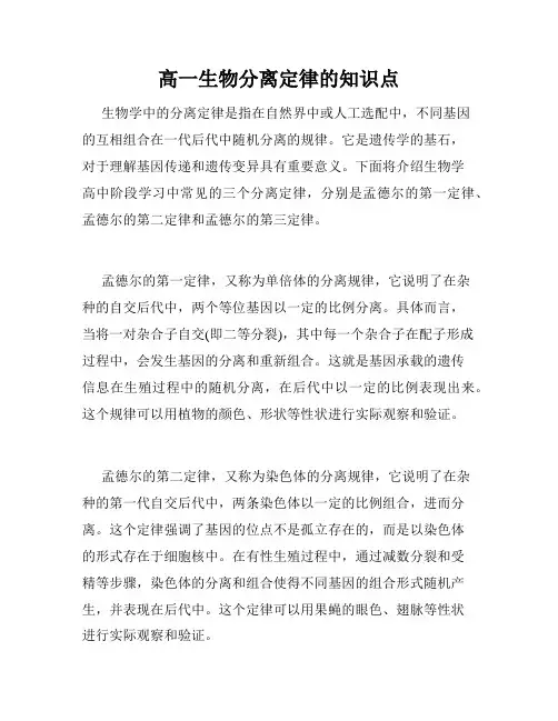 高一生物分离定律的知识点