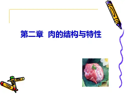肉的结构与特性
