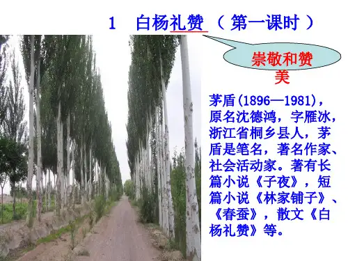 白杨礼赞公开课获一等奖优秀课件