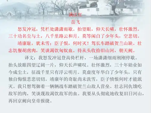 第8课：《金与南宋的对峙》ppt课件