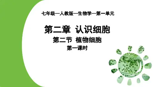 1.2.2  植物细胞(第一课时)课件 (共26张PPT)人教版生物七年级上册