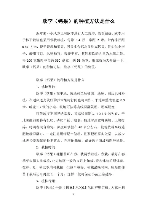 欧李(钙果)的种植方法是什么