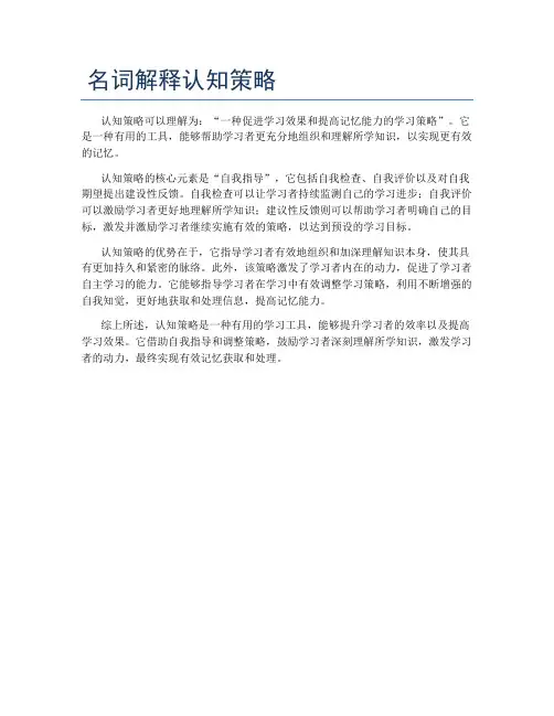 名词解释认知策略
