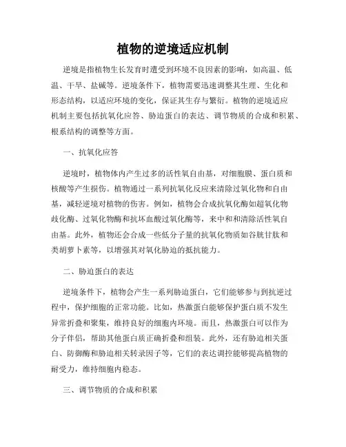 植物的逆境适应机制
