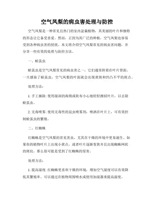 空气凤梨的病虫害处理与防控