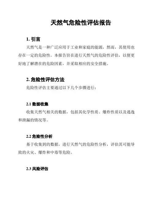 天然气危险性评估报告