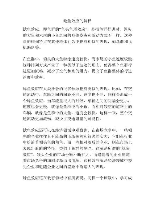 鲶鱼效应的解释