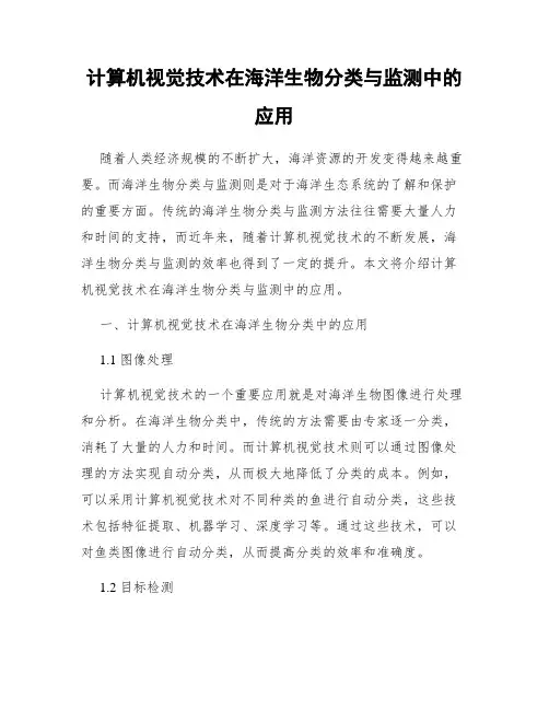 计算机视觉技术在海洋生物分类与监测中的应用