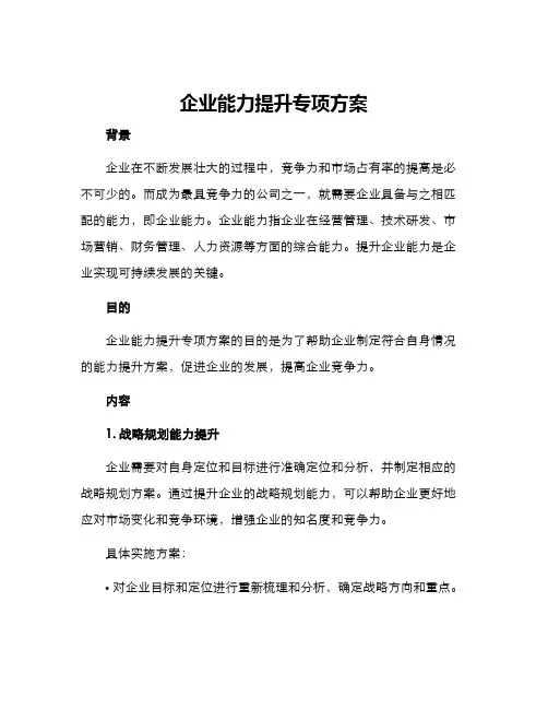企业能力提升专项方案