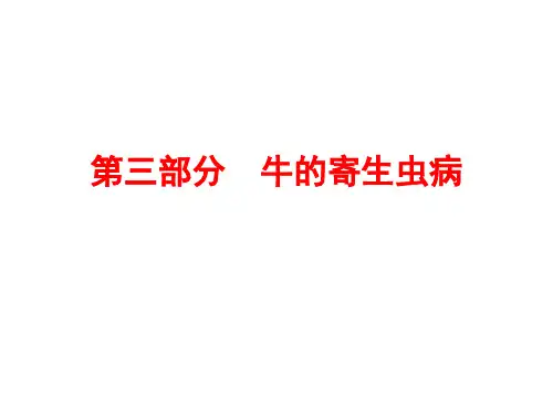 牛的寄生虫病