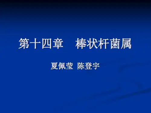 棒状杆菌属