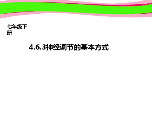 3神经调节的基本方式  公开课精品课件