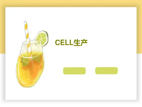 CELL生产29页PPT