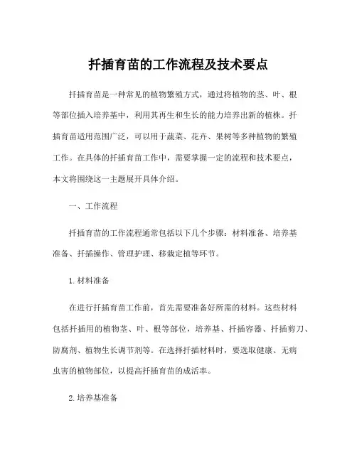 扦插育苗的工作流程及技术要点