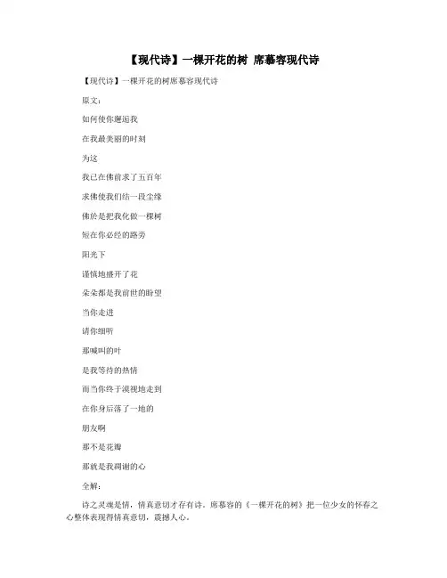 【现代诗】一棵开花的树 席慕容现代诗