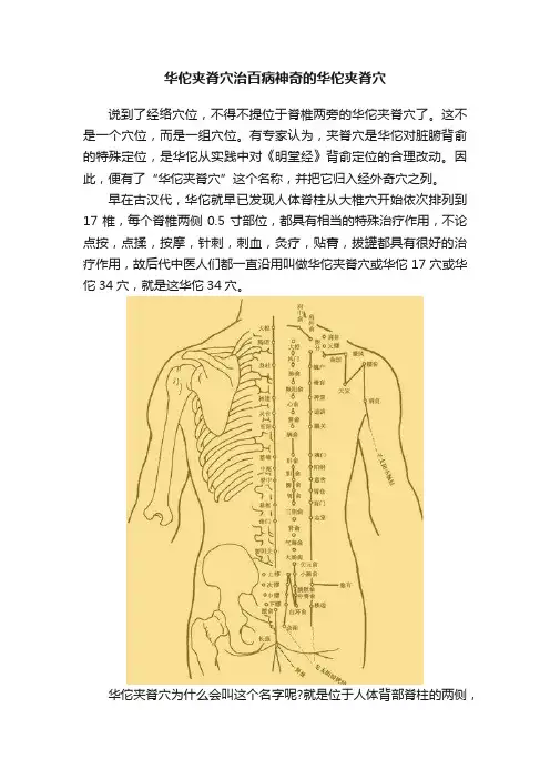 华佗夹脊穴治百病神奇的华佗夹脊穴