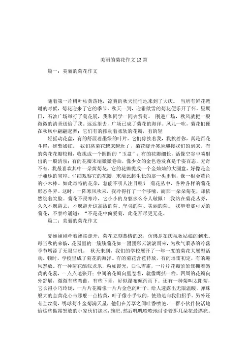 美丽的菊花作文13篇