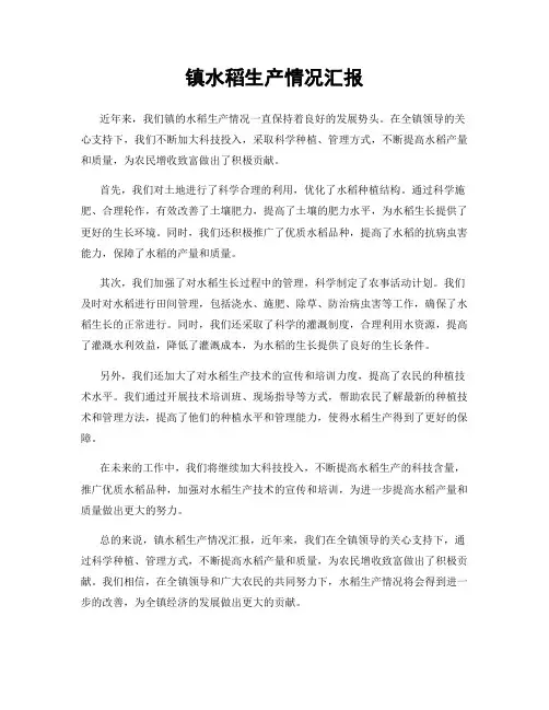 镇水稻生产情况汇报
