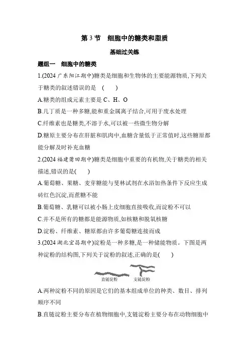 人教版高中生物必修1第2章组成细胞的分子第3节细胞中的糖类和脂质基础练含答案